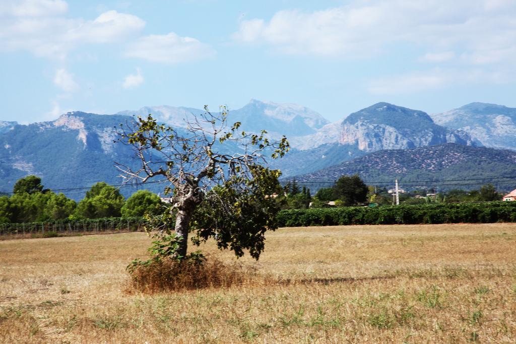 Vila Petit Torrent Fals Santa Eugènia Exteriér fotografie